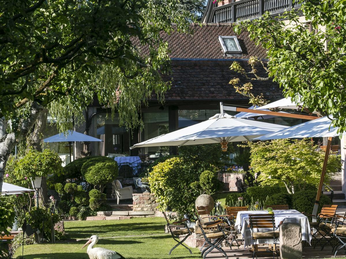 Hotel Des Berges, Restaurant Gastronomique & Spa Illhaeusern Kültér fotó